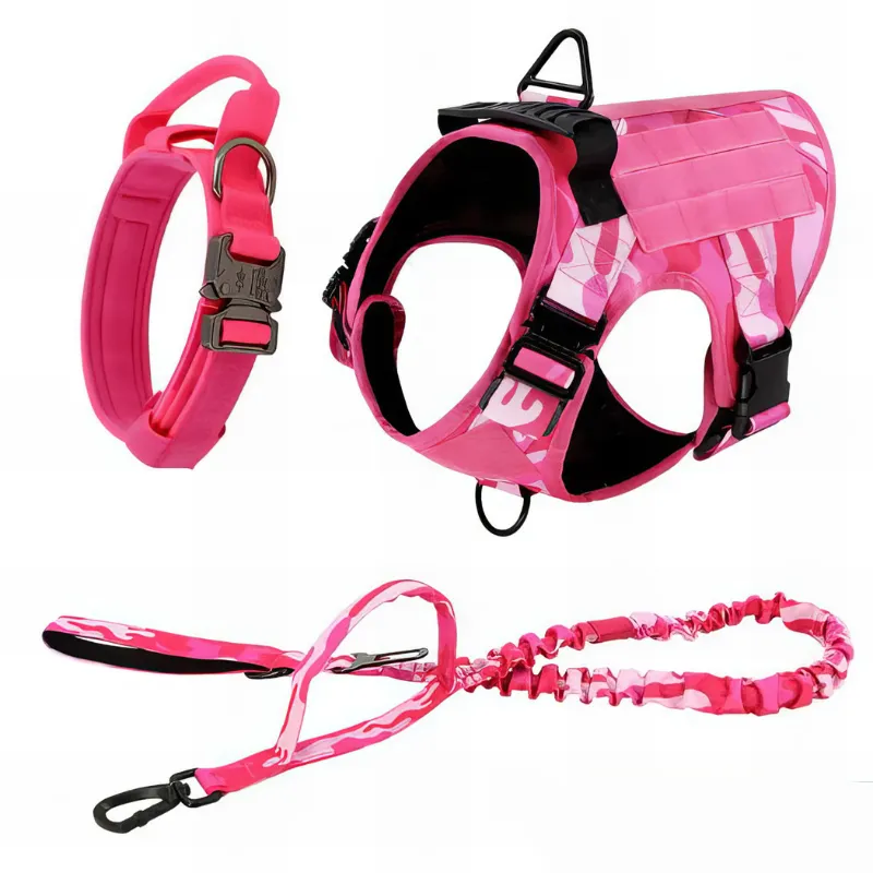 Stylish Dog Harness With Accessories