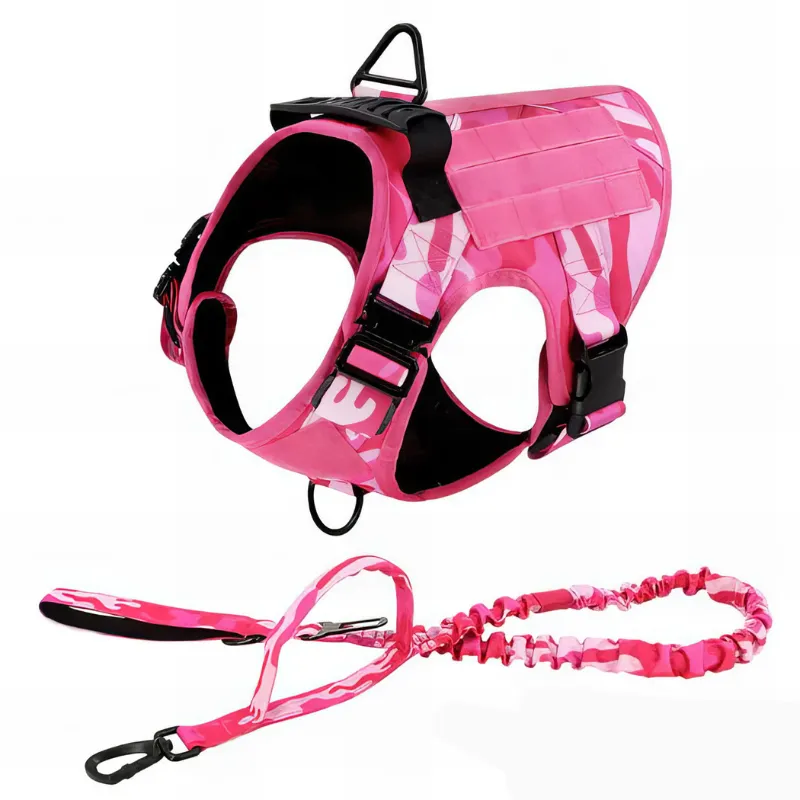 Stylish Dog Harness With Accessories