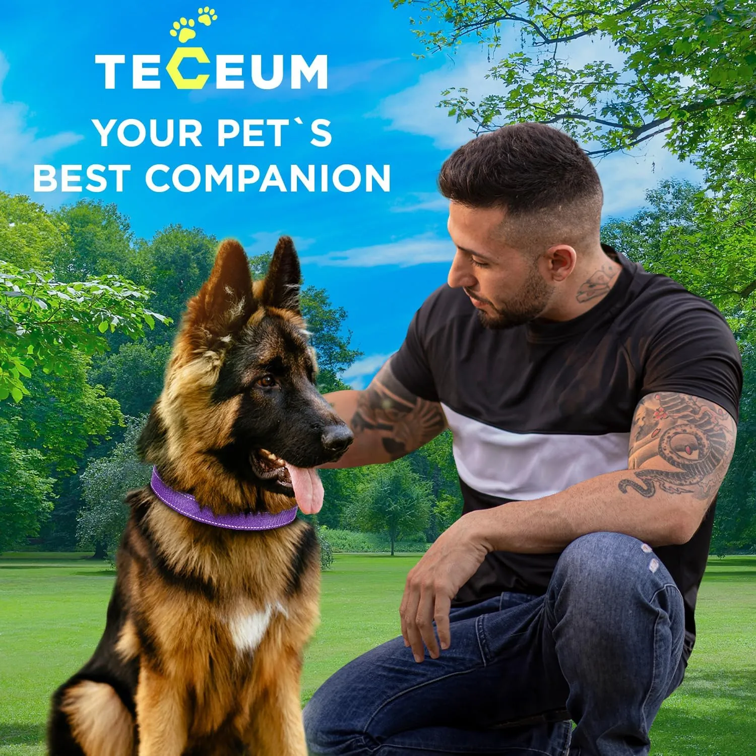 TECEUM Reflective Dog Collar  Purple  S  Extra Soft Padding  Basic Nylon Pet Collar  Quick Release Buckle  Fits Small, Medium and Large Dogs, Puppies, Cats  ESA & Service Dog Options