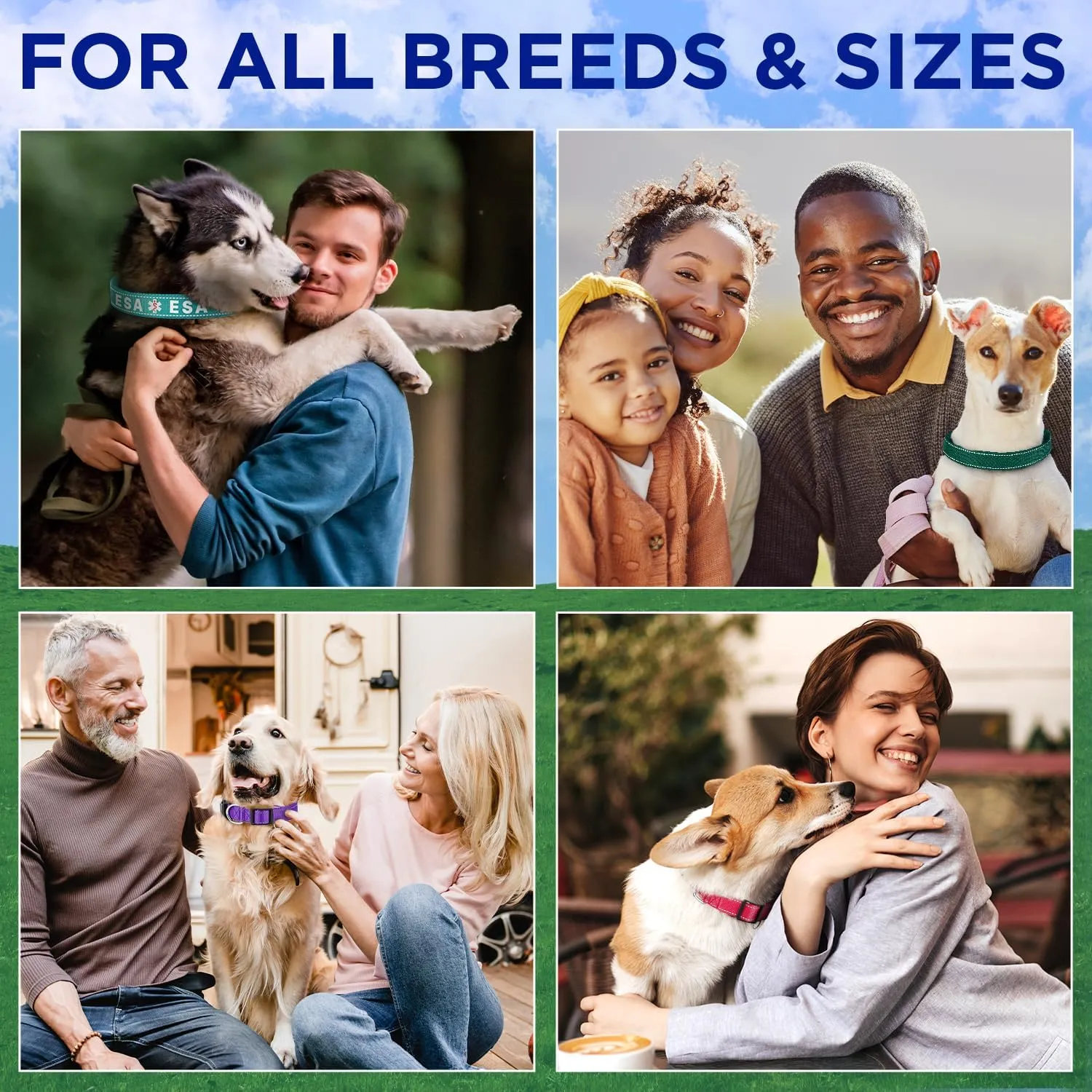 TECEUM Reflective Dog Collar  Purple  S  Extra Soft Padding  Basic Nylon Pet Collar  Quick Release Buckle  Fits Small, Medium and Large Dogs, Puppies, Cats  ESA & Service Dog Options