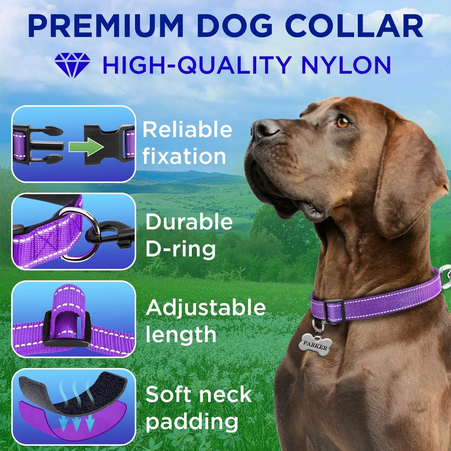 TECEUM Reflective Dog Collar  Purple  S  Extra Soft Padding  Basic Nylon Pet Collar  Quick Release Buckle  Fits Small, Medium and Large Dogs, Puppies, Cats  ESA & Service Dog Options