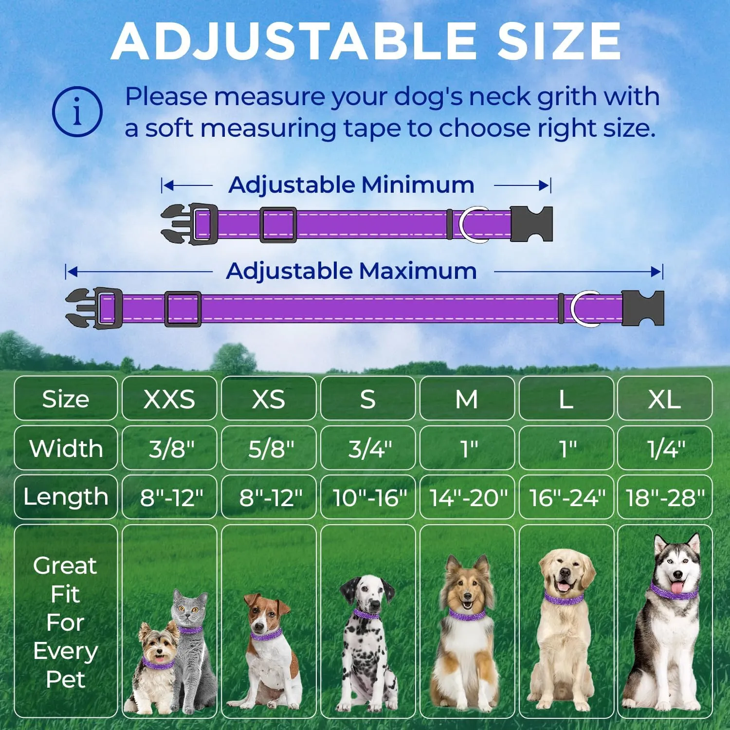 TECEUM Reflective Dog Collar  Purple  S  Extra Soft Padding  Basic Nylon Pet Collar  Quick Release Buckle  Fits Small, Medium and Large Dogs, Puppies, Cats  ESA & Service Dog Options