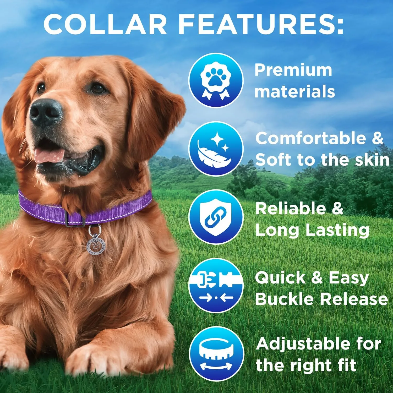 TECEUM Reflective Dog Collar  Purple  S  Extra Soft Padding  Basic Nylon Pet Collar  Quick Release Buckle  Fits Small, Medium and Large Dogs, Puppies, Cats  ESA & Service Dog Options