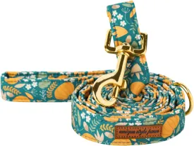 Unique style paws Fall Dog Leash with Soft and Comfy Handle Dog Traction Rope for Dogs and Cats-Green Pumpkin-XS