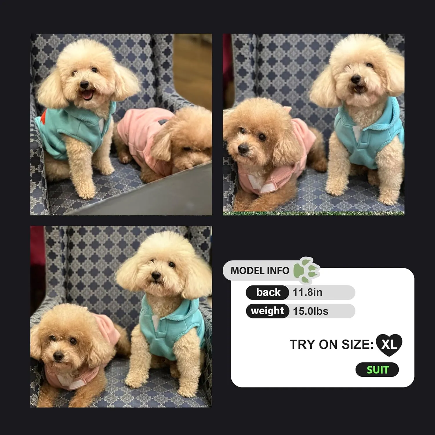 Winter Hoodie Coat for Dogs - Plush Vest Jacket, Autumn Warm Clothes (Grey-2XL)